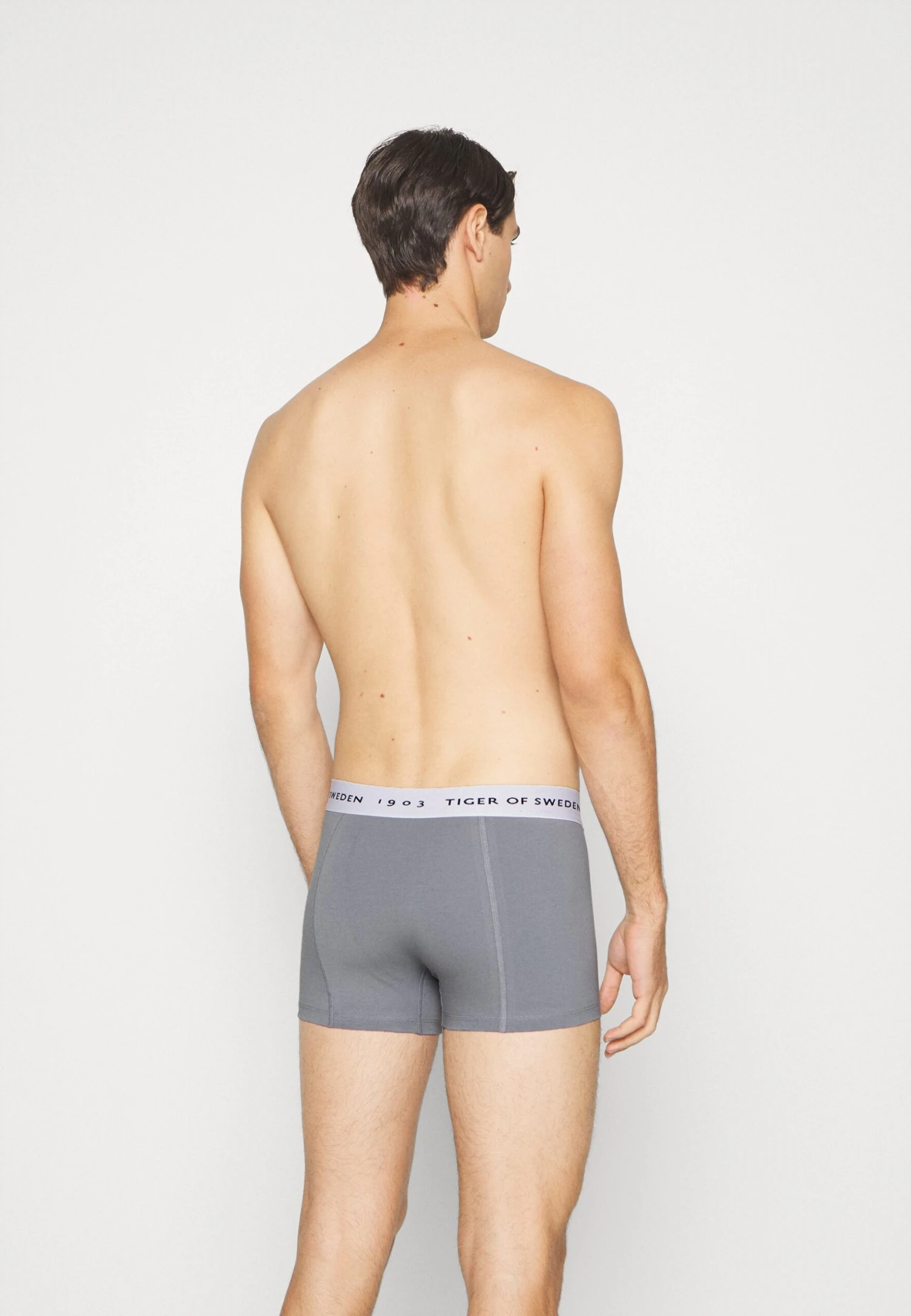 Tiger Of Sweden Hermod - Onderbroeken - Smokey Blue/Summer Sky/White 4 Tiger Of Sweden Hermod - Onderbroeken - Smokey Blue/Summer Sky/White - Afbeelding 2